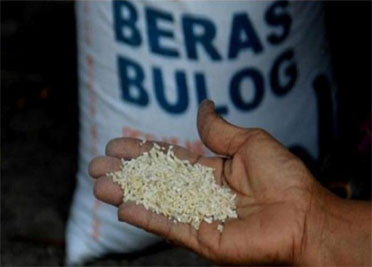 Tak Layak Konsumsi, Pemdes Pematang Obo Tolak 13 Ton Beras Prasejahtera