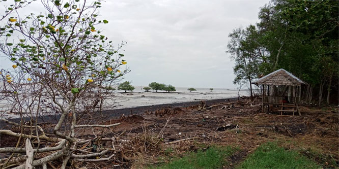 Keindahan Pantai Senekip Desa Teluk Pambang Bengkalis