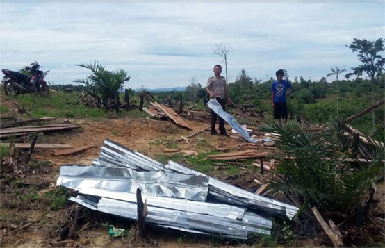 Terbitnya Putusan MA, Penggarap Agar Kosongkan Areal HTI PT BBSI