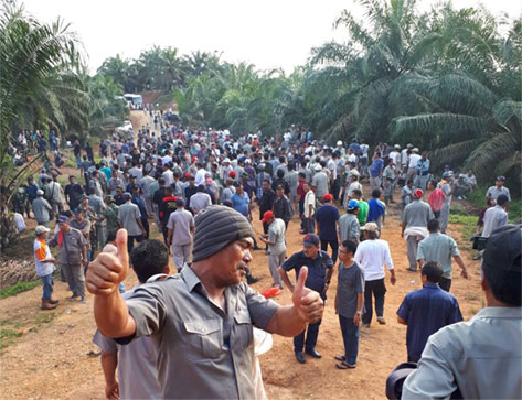 Ribuan Karyawan PTPN V dan Masyarakat Kabun Siaga Aksi Eksekusi