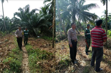 Babinsa Bagan Jaya Koramil 02/Tanah Merah Patroli Karhutla