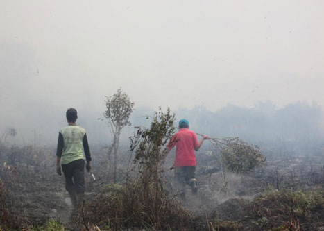 Tiga lokasi Karhutla Riau Belum Bisa Dikendalikan