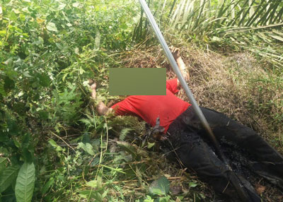 Karyawan PT Inti Indosawit Subur Tewas Tersengat Listrik
