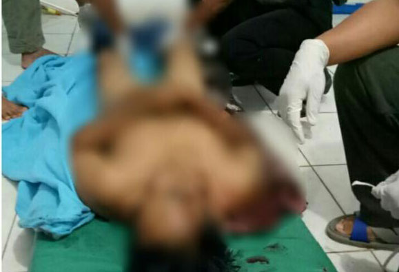 Konflik Harimau Berlanjut Di Inhil, Pekerja Bangunan Walet Tewas Mengenaskan