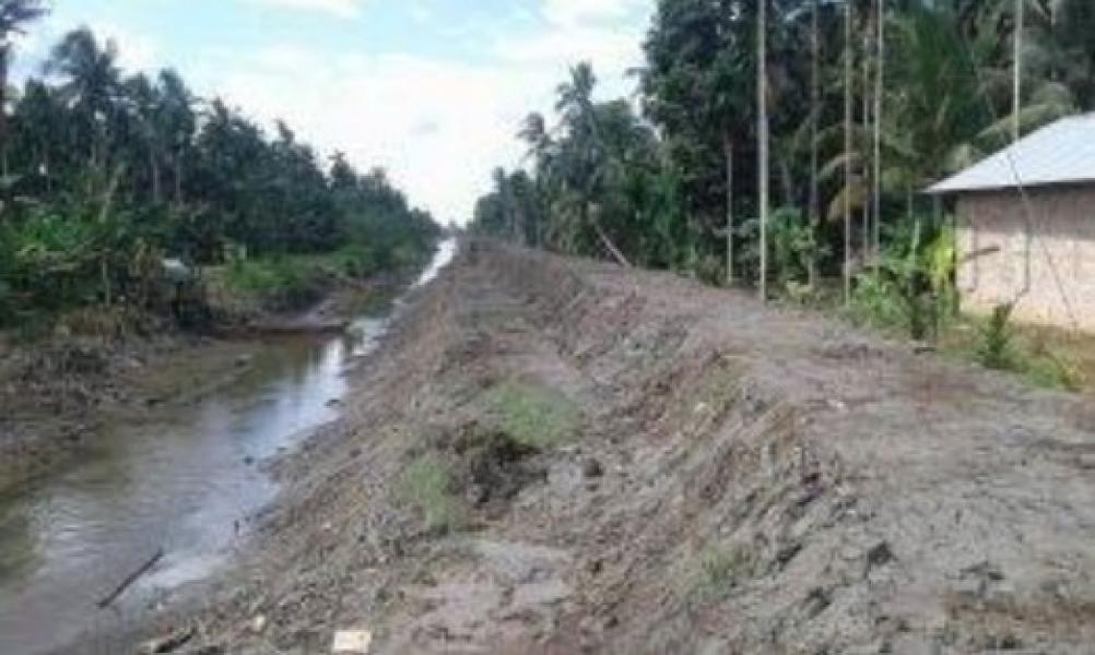 DPRD Inhil Targetkan Penyelamatan 12.500 Hektare Kebun Kelapa Rakyat