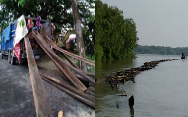 Tim Gakkum DLHK Riau Sita 40 m3 Kayu Ilog Diduga Dari Konsesi HPH DRT