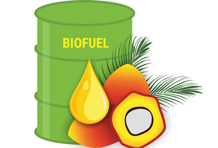 KPK Telusuri 11 Perusahaan Sawit ‘Selewengkan’ Program Biofuel Senilai Rp5,7 T