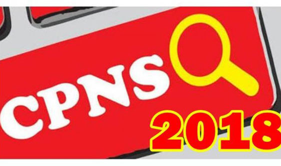 Siap-Siap, Pendaftaran CPNS Dibuka Juli 2018