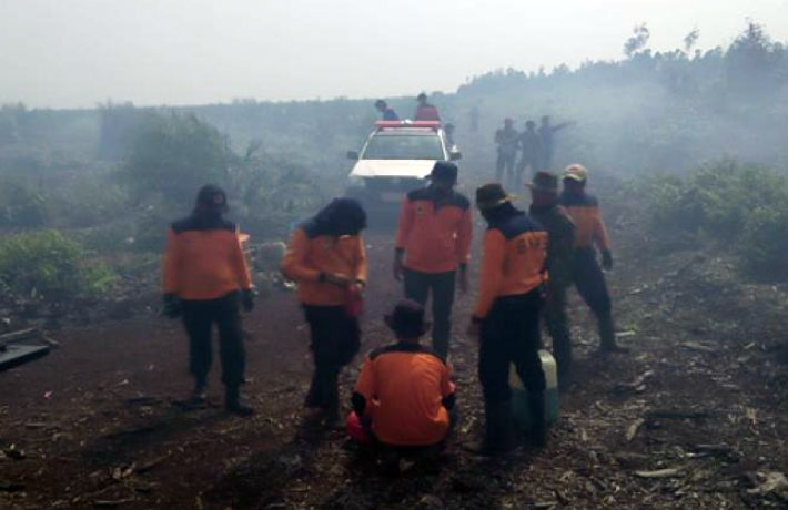 BPBD Bengkalis Berjibaku Padamkan Lahan Terbakar di Mandau