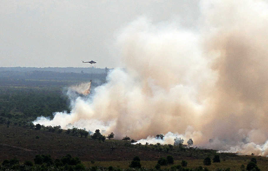 Tiga Heli dan Tim Darat Berjibaku Padamkan Karhutla di Lubuk Gaung Dumai