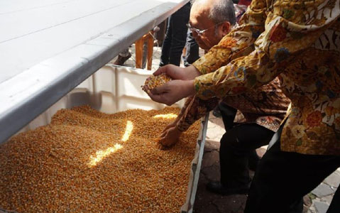 Kisruh Mendag-Buwas Terkait Impor Jagung, Ini Respons Darmin