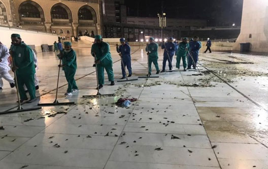 Masjidil Haram Dikerubungi Belalang, Ustadz Fauzan Amin: Ini Teguran Allah SWT