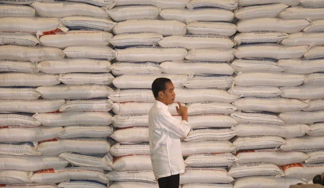 Masih Rajin Impor Beras, Swasembada Bagaimana Pak Jokowi?