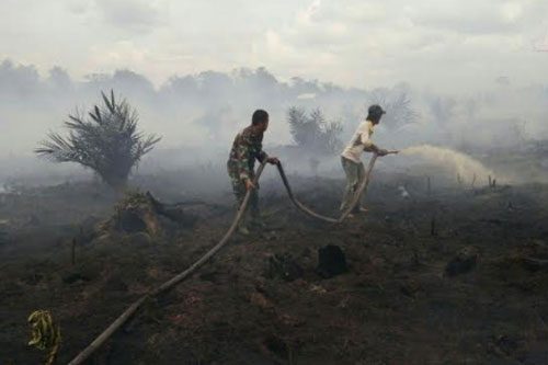 Babinsa Bersama Tim Padamkan Karhutla Di Desa Sungai Raya Rengat