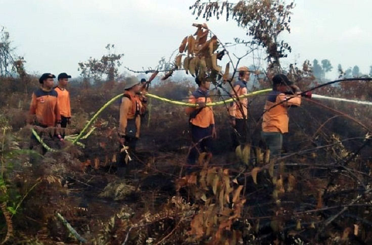 TRC BPBD Bengkalis Padamkan Karhutla di Kecamatan Rupat