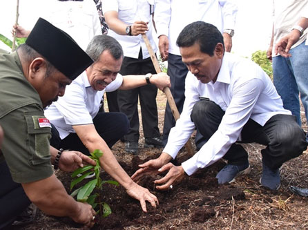 Gubri Terkesan Usaha Masyarakat Kelola Lahan Gambut di Kabupaten Bengkalis