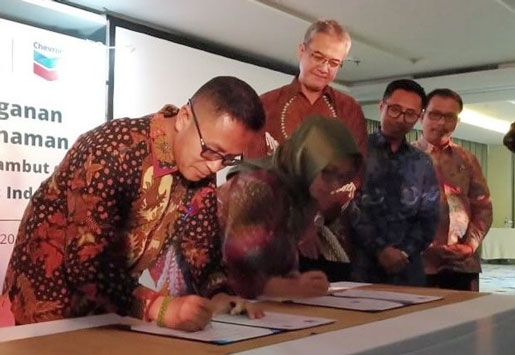 BRG Bersama PT Chevron Indonesia Kembangkan Desa Peduli Gambut