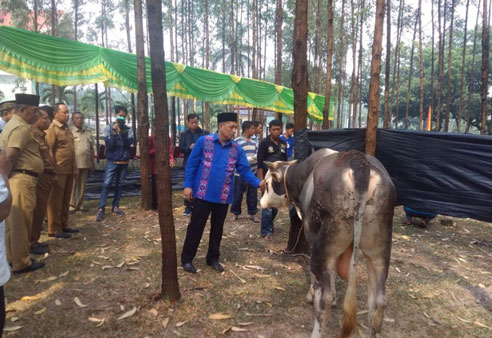 Masjid Darul Abral DPRD Riau Potong 7 Ekor Hewan Qurban