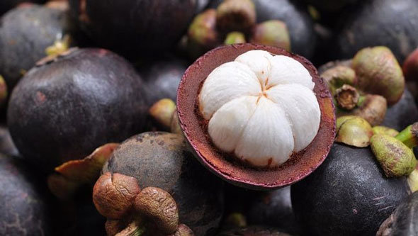 Manfaat Buah Manggis: Jaga Imun Hingga Turunkan Berat Badan