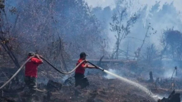 KPAI: Kebakaran Hutan Rebut Hak Hidup Anak, Siapa yang Disalahkan?