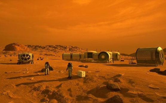 Riuh Perdebatan Soal Ada Serangga Hidup di Mars