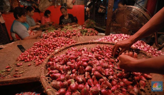 Harga Bawang Merah Melonjak Naik, Ini Penjelasan Kementan