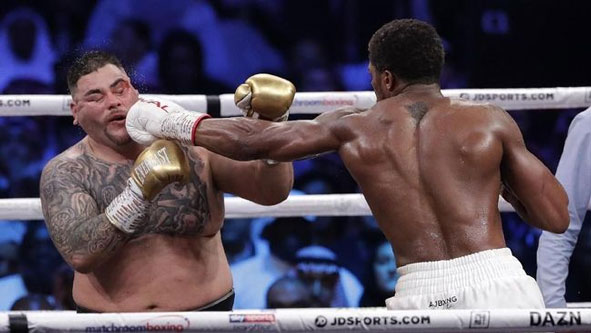 Joshua Rebut Kembail Gelar Juara Dunia Kelas Berat dari Ruiz