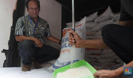Halo-Halo! Harga Beras Mulai Merayap Naik Nih
