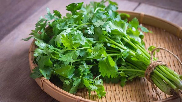 5 Manfaat Daun Ketumbar untuk Kesehatan