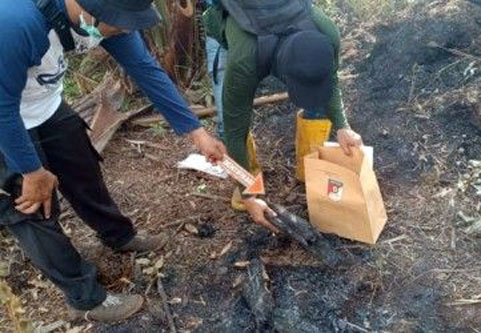 Bersihkan Lahan dengan Cara Bakar, ASN Bengkalis Ditetapkan Tersangka