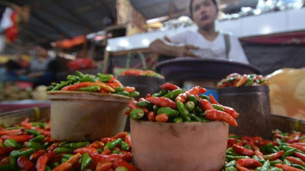 Harga Cabai Rawit Merah Sentuh Rp80 Ribu per Kg