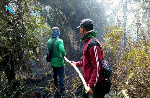 Wagubri Ingatkan Penjara Menanti Pembakar Lahan di Riau