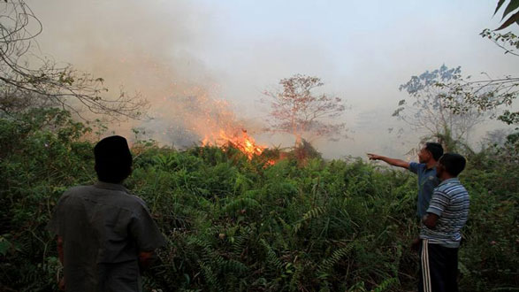 79 Titik Panas Bermunculan di Riau