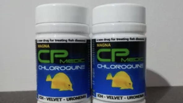 Duh, Peneliti Ini Tak Sarankan Chloroquine Jadi Obat Covid-19