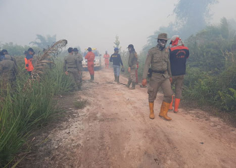 Satgas Gakkum Laporkan 34 Kasus JTP Karhutla
