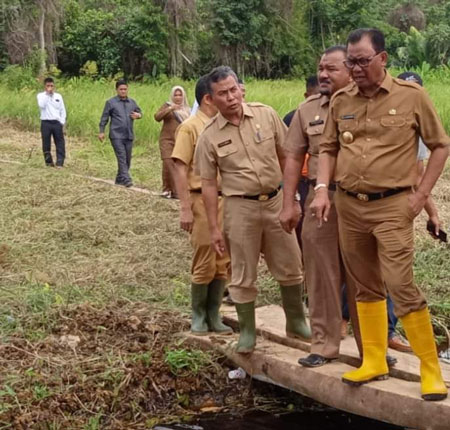 Gelontorkan Dana 7 Miliar, Rohil Bangun Hutan Kota di Pusat Ibukota
