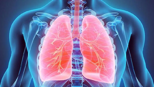 Studi: Corona Tak Cuma Rusak Paru-paru Tapi Juga Organ Lain