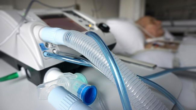 PDP Corona, Tubuh Wali Kota Tanjungpinang Dipasang Ventilator
