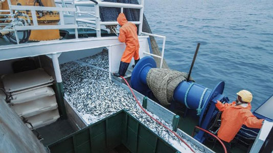 Nelangsa ABK Kapal Asing, Tak Tidur 48 Jam dan Suntik Morfin