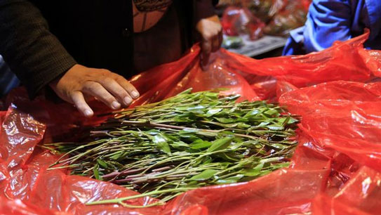 Mengunyah Daun Qat, Bahagia yang Sederhana di Negara Perang