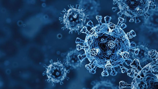 Dokter Sebut Virus Corona Bisa Bertahan 5 Hari di Ponsel