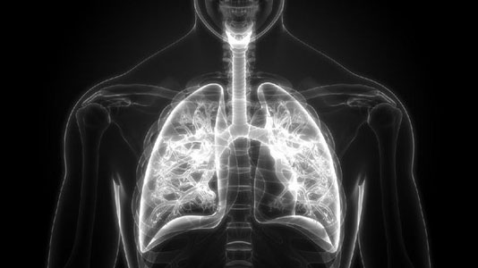 Kenali Gejala Flu Babi G4 yang Berpotensi Jadi Pandemi