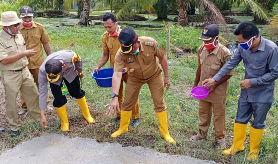 Bupati Suyatno Tabur Benih Padi dan Jagung di Pekaitan