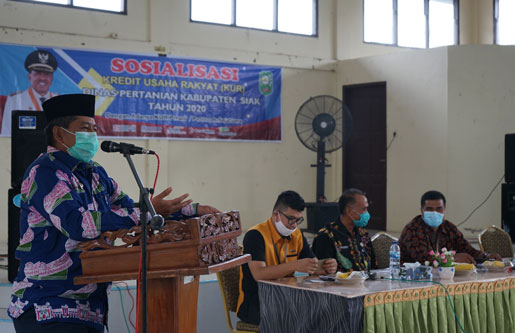 Bupati Alfedri Ajak Petani di Kerinci Kanan Manfaatkan Program KUR Guna Kembangkan Usaha
