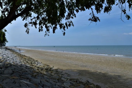 Investor Singapura Bakal Jadikan Pulau Rupat utara Kawasan Resort Pariwisata