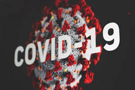 Bertambah 35, Total Positif Covid-19 di Provinsi Riau Jadi 656 Kasus