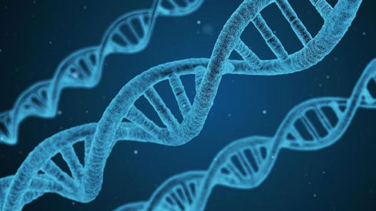 Peneliti Temukan DNA Nenek Moyang Misterius di Manusia