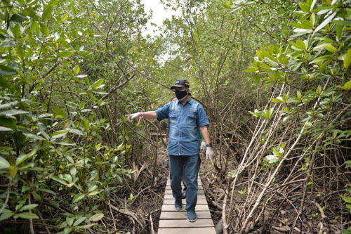 Ekowisata Mangrove Bengkalis Diresmikan, Pj Bupati: Terimakasih, Warga Desa Pangkalan Jambu