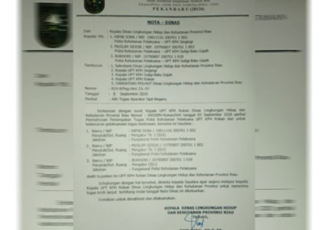 Heboh, DLHK `Obok-obok` Penempatan Tugas Polhut Riau, Ada Apa?