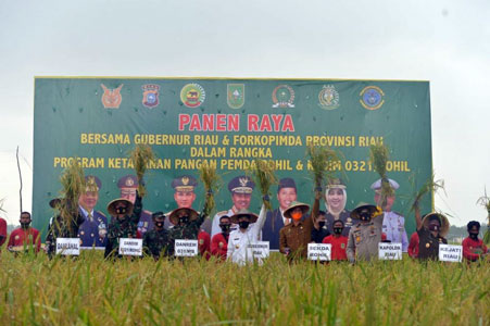 Danrem 031/WB Bersama Gubri Hadiri Panen Raya Padi di Rohil
